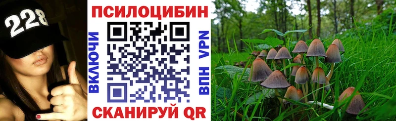 купить закладку Тамбов Галлюциногенные грибы мицелий